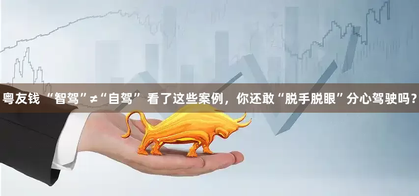 粤友钱 “智驾”≠“自驾” 看了这些案例，你还敢“脱手脱眼”分心驾驶吗？
