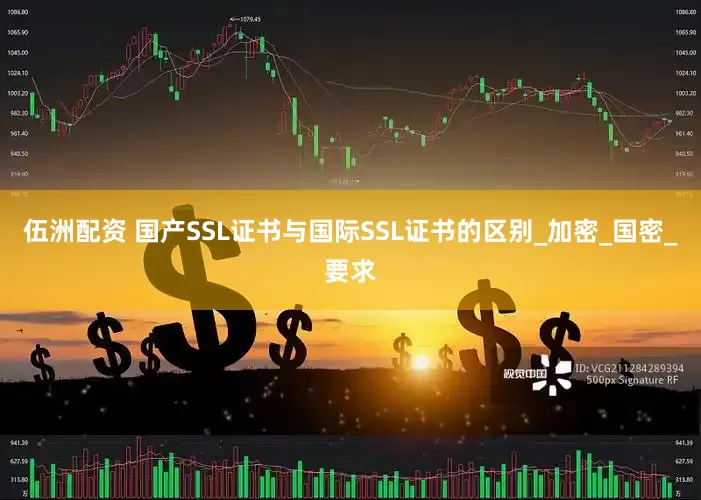 伍洲配资 国产SSL证书与国际SSL证书的区别_加密_国密_要求